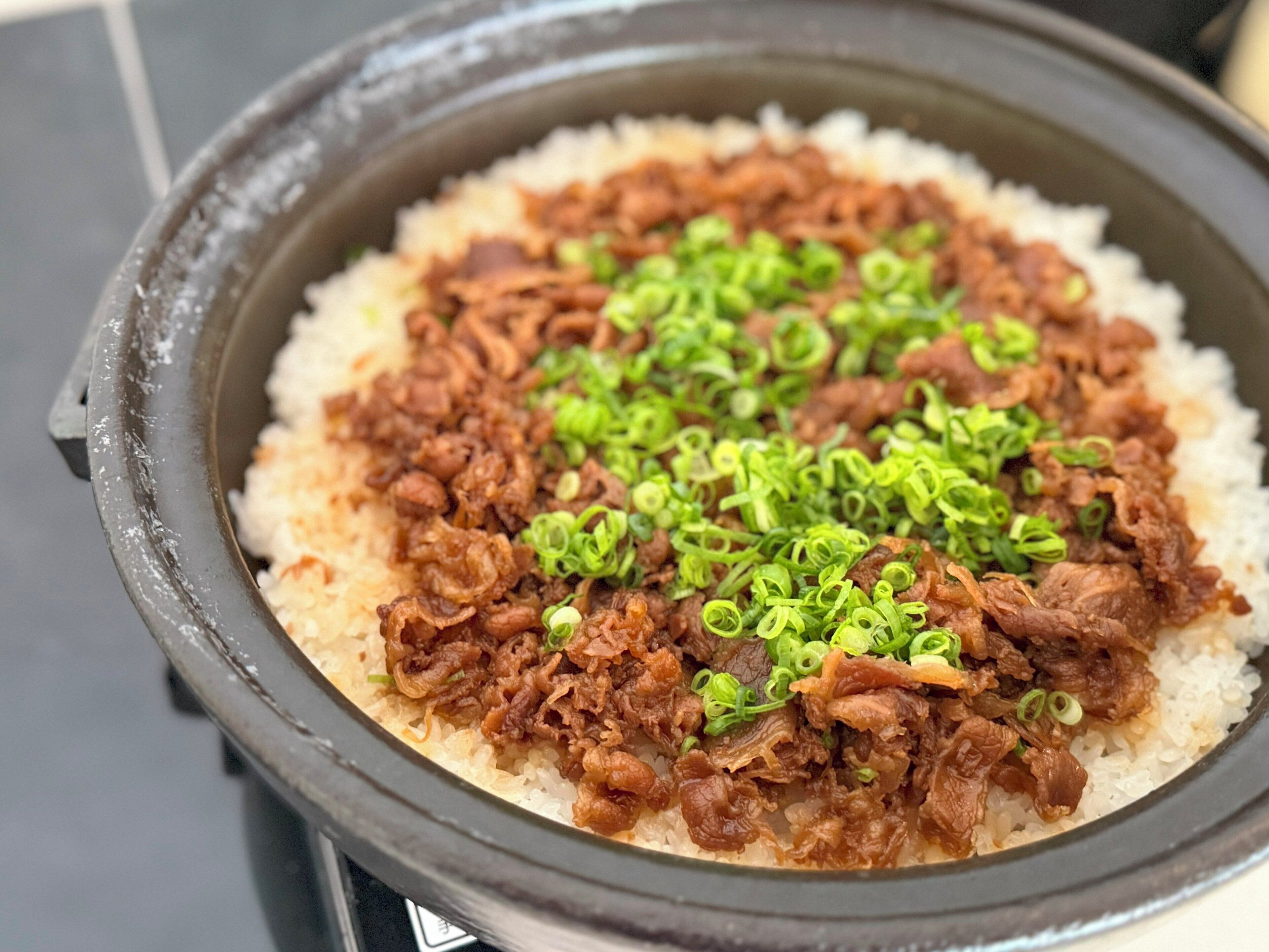 A close-up of a dish with shredded meat and rice, garnished with green onions.