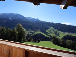 Property grounds - Blasinghof I (Gerlosberg)