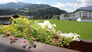 Unclassified image, 2 of 16, button - Fankhauser (Zell am Ziller)