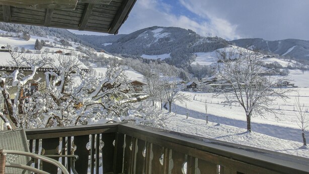 Porch - Sonnenstrahl Top 1 (Piesendorf)