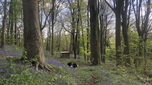 Property grounds - Het Hofje (Gooik)