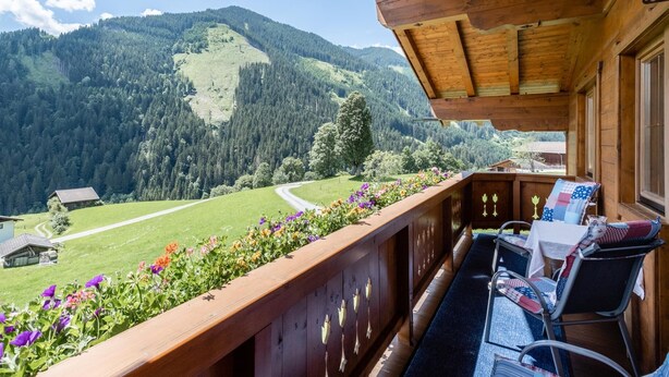 Property grounds - Eder II (Saalbach-Hinterglemm)