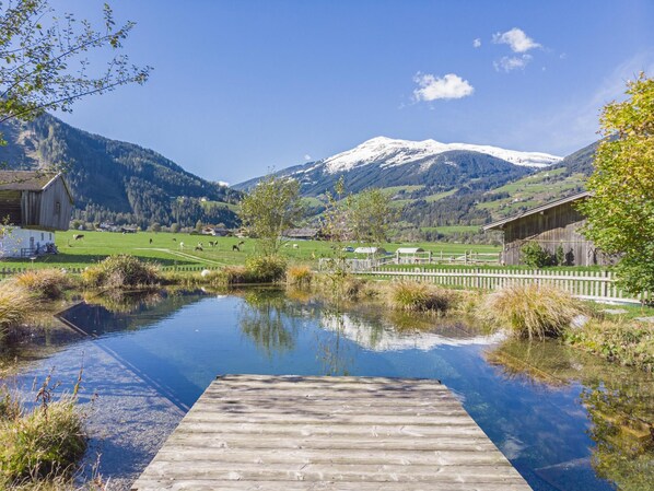 Property grounds - Landhaus Schiedhof (Neukirchen am Grossvenediger)