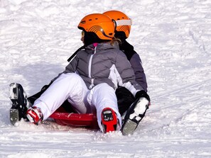 Sneeuw- en skisporten