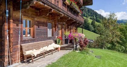 Troadstadl Brixentalblick