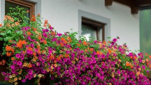 Veranda