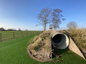 Tuin