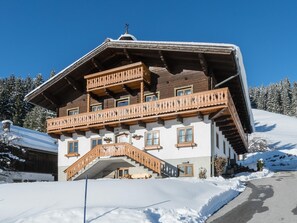 Exterior - Haus Tanja (Wagrain)
