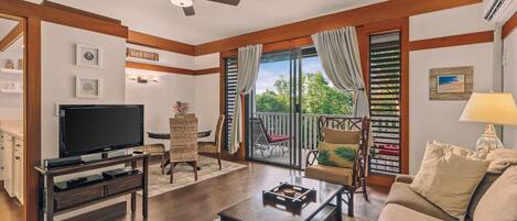 TV, DVD player, video library