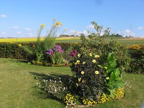 Área da propriedade