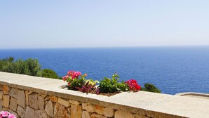 Un muro in pietra con aiuola fiorita che si affaccia sul mare.