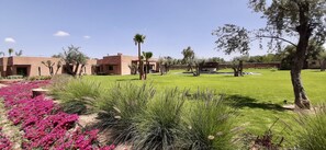 Terrein van de accommodatie