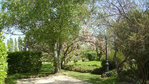 Een geplaveid pad in een park met bomen en groen.