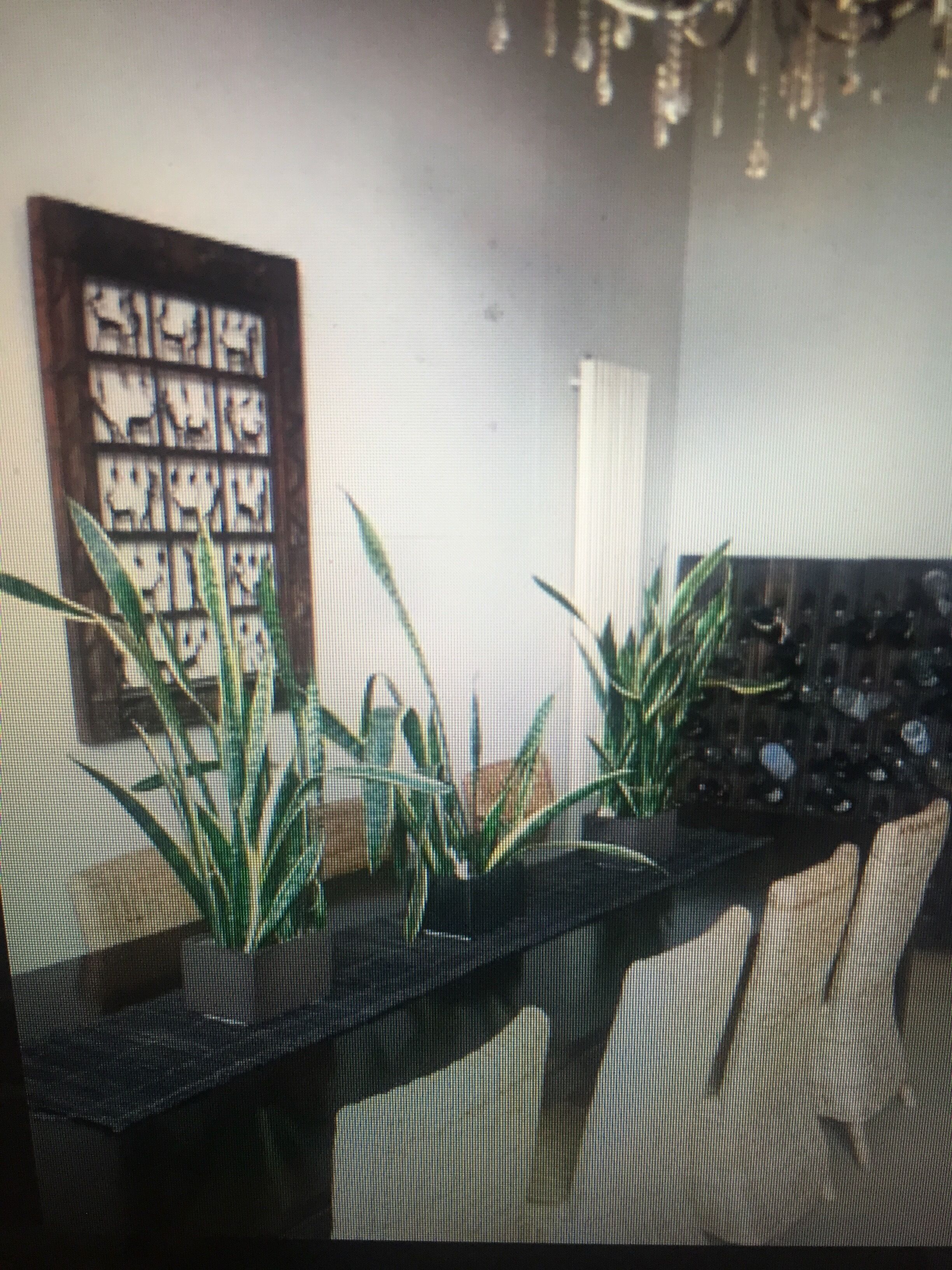 ARCHITECTURAL 4 LEVEL ST KILDA HOME — image 18