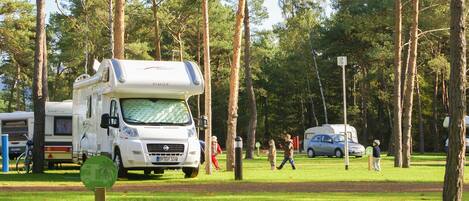 Standard Stellplatz (für eigenen Wohnwagen) | View from room