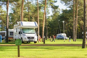 Standard Stellplatz (für eigenen Wohnwagen) | View from room - Tropical Islands Campingplatz (Krausnick-Gross Wasserburg)