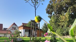 A garden with various flowers and a tree in the foreground. - Modern vacation apartment "Tante Emma"  (Sinsheim)