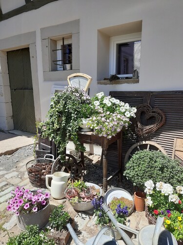 moderne Ferienwohnung "Tante Emma" 