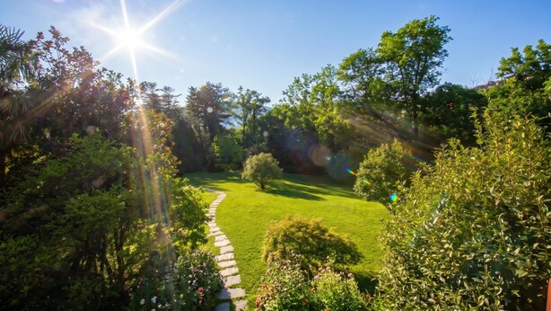 Un jardín con un sendero de piedra, abundante vegetación y un cielo azul despejado.