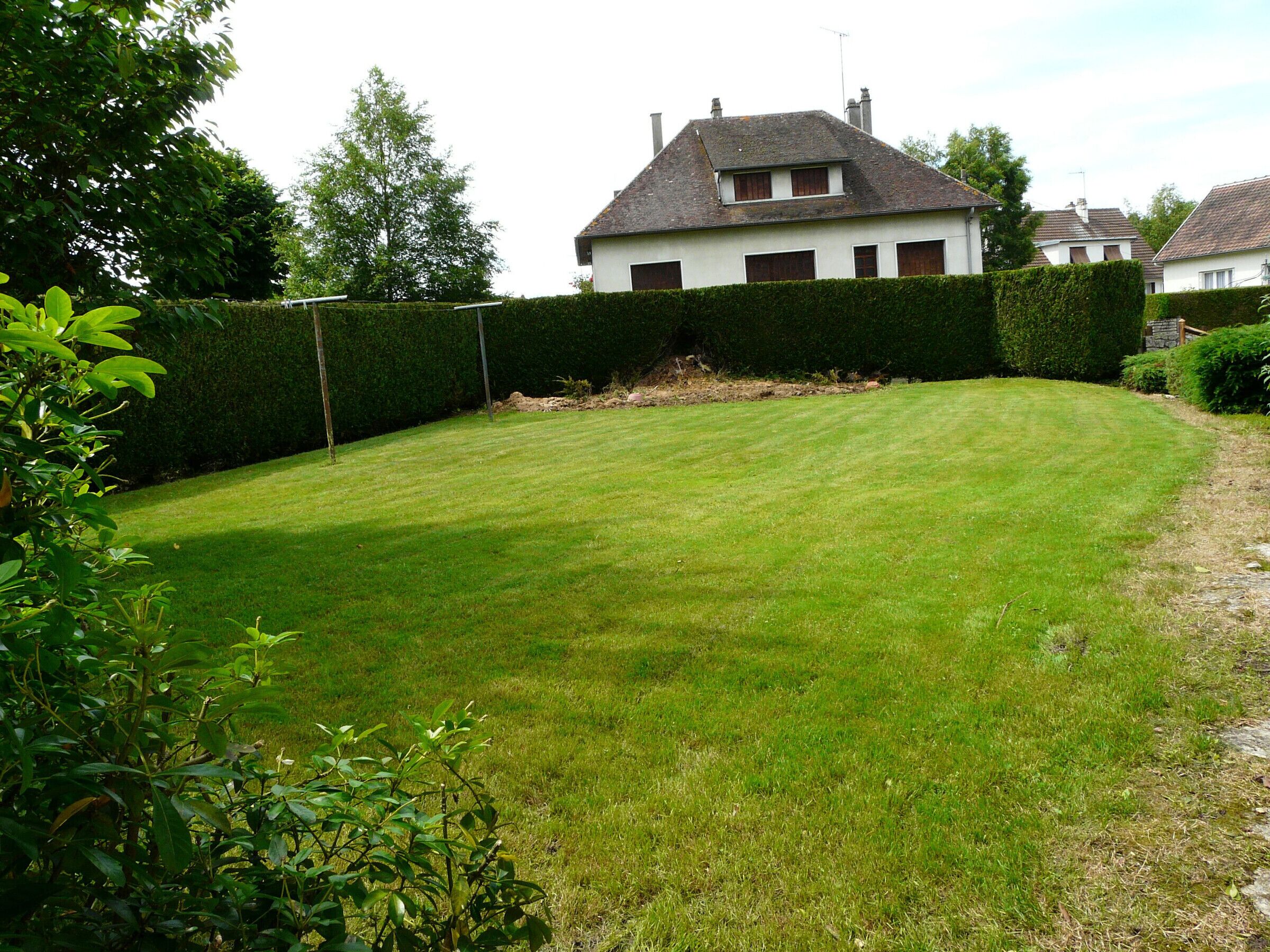 A well-maintained lawn with a hedge and a house in the background.