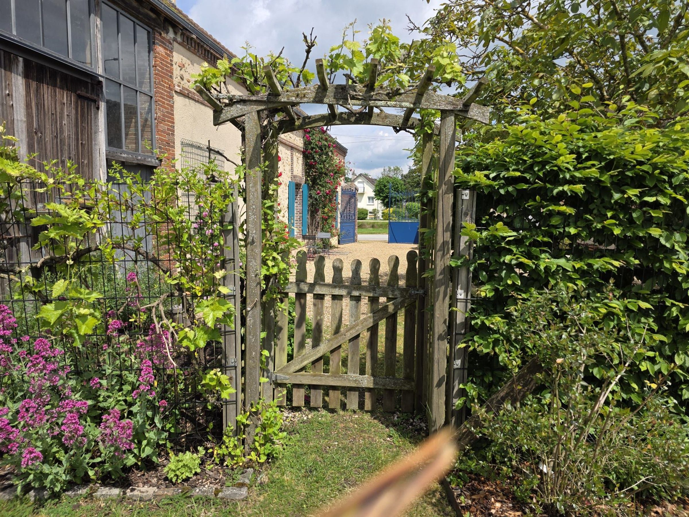 A wooden gate leading to a garden with a pergola, surrounded by various plants and a fence.