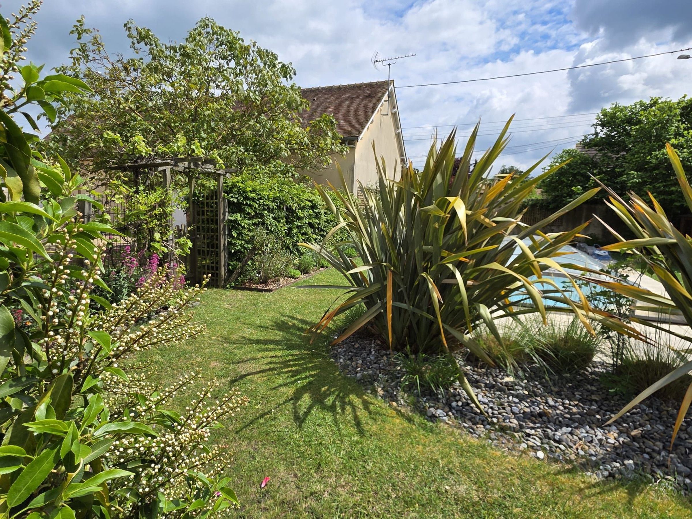 Un jardín con piscina, una casa y diversas plantas.