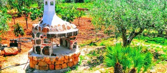 Paradiso degli Ulivi - Paradiso degli ulivi (B)