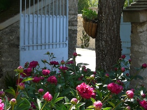 Ein Garten mit blühenden Pfingstrosen und einem weißen Tor.