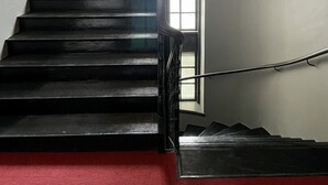 En trappa med svarta trappsteg och en röd matta, som leder upp till en liten plattform med ett fönster och en krukväxt.