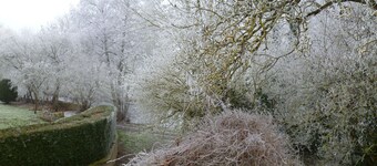 Maison Indépendante 5 Chambres avec Jardin - Animaux Bienvenus