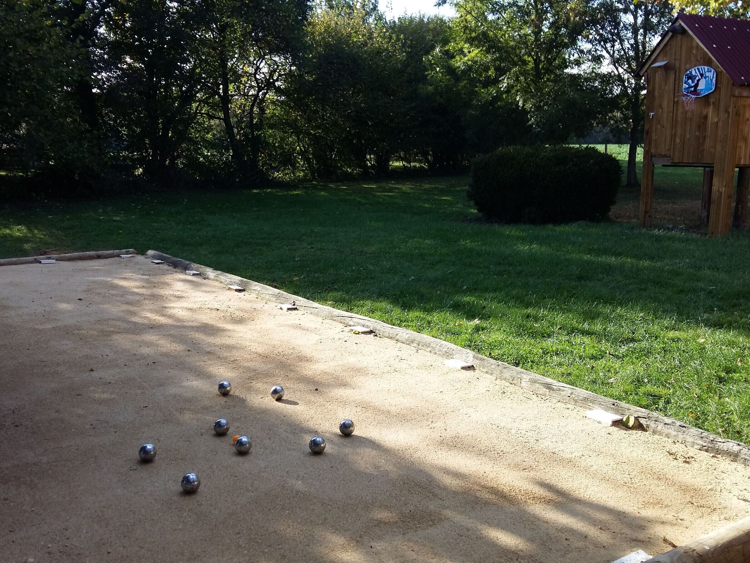 A shuffleboard table with pucks in a grassy area, a wooden shed, and trees in the background.