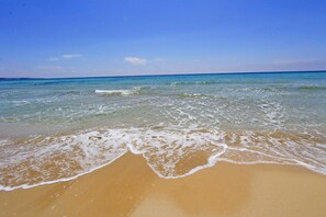 Playa en los alrededores 