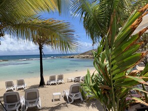 Beach nearby - Caribluewave Coral Studio by the Lagoon (Saint-François)