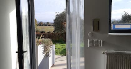 Charming house and ecology in the heart of lush greenery 45 'from Toulouse