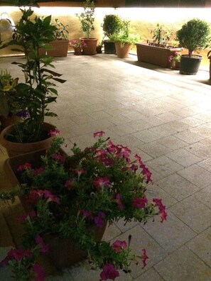 Property grounds - The Painter's Terrace rents rooms (Mazara del Vallo)