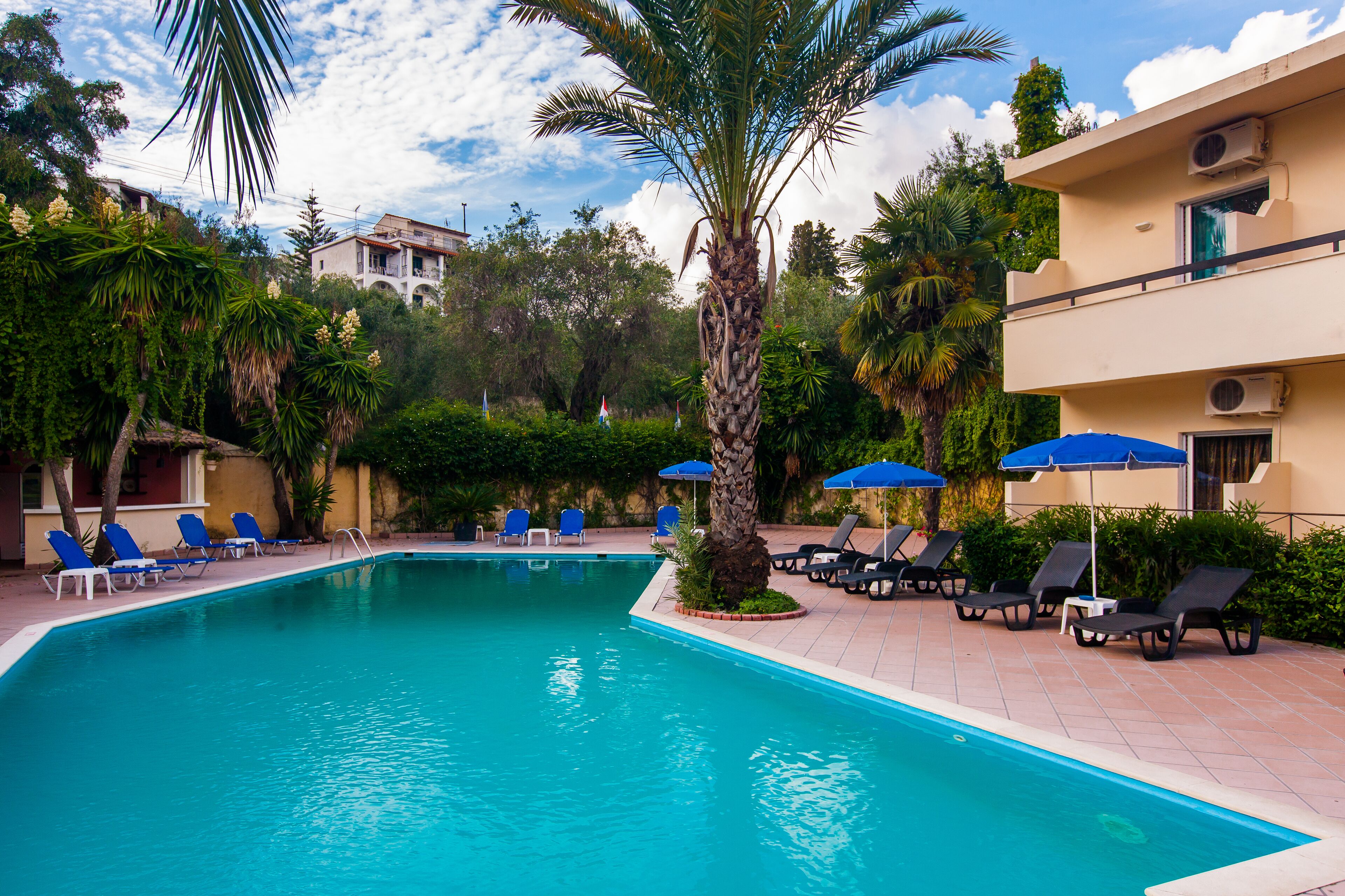 Piscina con sillas y sombrillas azules, rodeada de palmeras y vegetación.