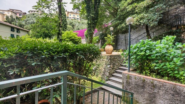 Una escalera rodeada de abundante vegetación, un muro de piedra y vistas de edificios al fondo.