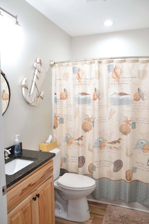 Shower, hair dryer, shampoo