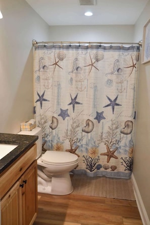 Shower, hair dryer, shampoo