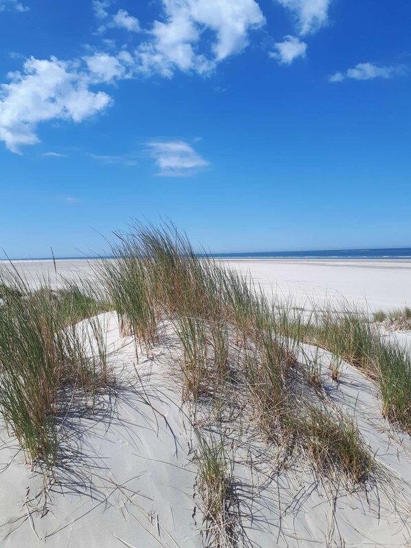 On the beach, sun-loungers - Vacation home on the south beach -2 double bedroom-4 person-2 terrace-dogs on request (Borkum)