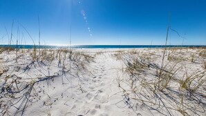 A sandy beach with sparse vegetation and a clear blue sky.