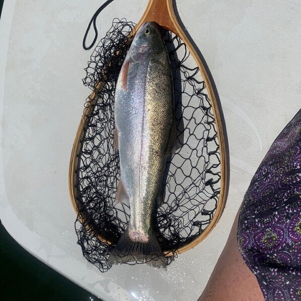 A fish on a wooden board with a net. - Relax with Stunning Views of Canyon Ferry and the Belt Mountains! (Helena)