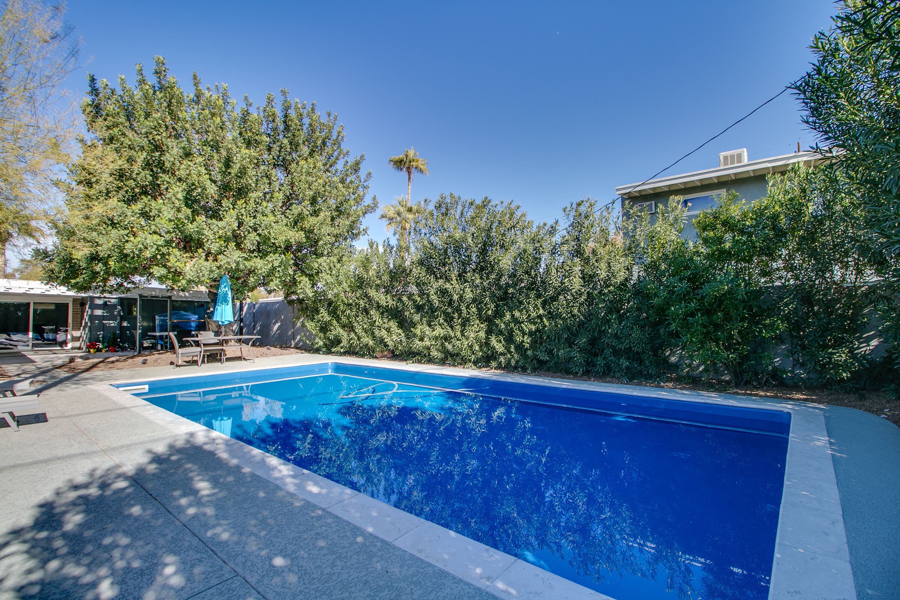 A rectangular swimming pool with a clear blue water surface, surrounded by a concrete deck and a low hedge.
