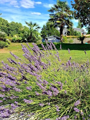 Jardines del alojamiento