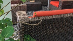 Un sofá de mimbre con cojines naranjas y una mesita con una planta, frente a una pared blanca con una puerta y un cuadro.