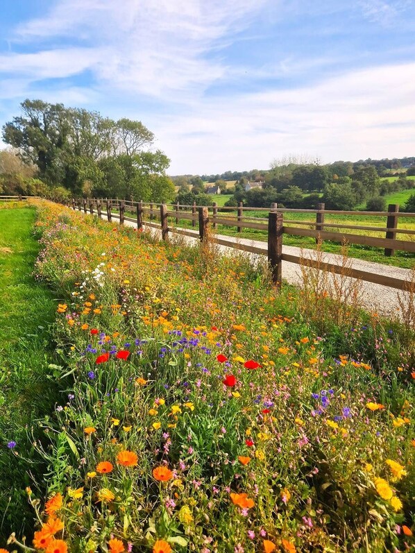 Terrein van de accommodatie