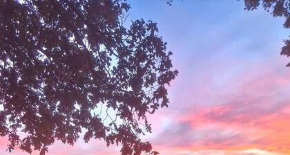 Domaine de Houtteville - Omaha Beach Normandy - Gîte Arty - Sauna