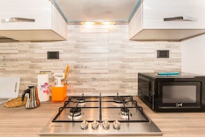 Full-sized fridge, microwave, oven