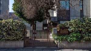A gated entrance with a metal gate, a tree, and a building in the background. - Porta Nuova & Valentino Apartment (Turin)