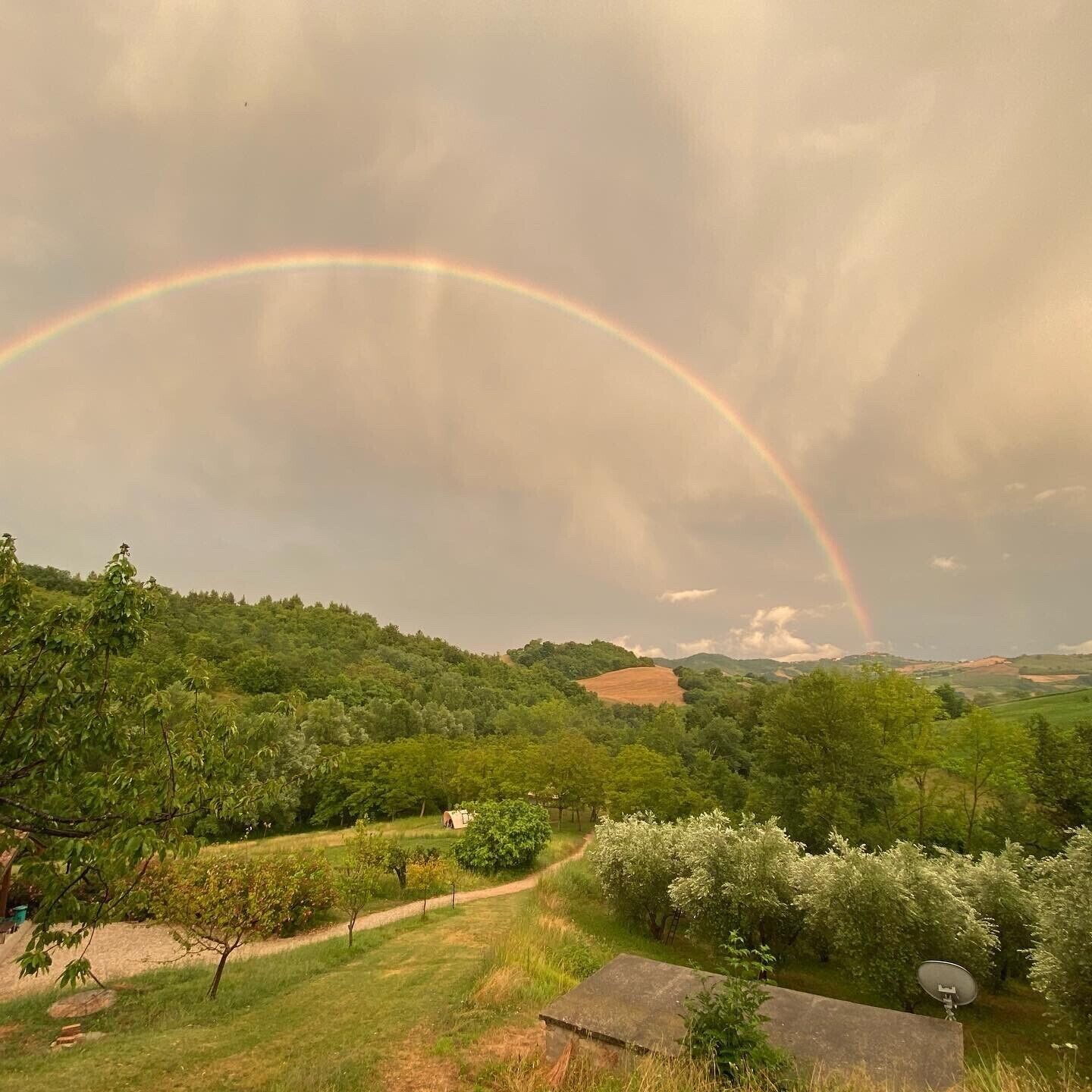 Un paysage verdoyant et luxuriant, avec un arc-en-ciel qui s’étend au-dessus d’une vallée.